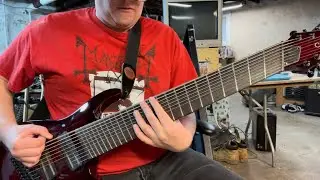 SONG 3 10 STRING GUITAR