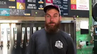 Lowcountry Forever: Palmetto Brewing Co. - What's on Tap & What's New (Hops in the Spotlight)