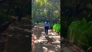 Kya place thi ❤️🔥 #travel #youtube #shorts #youtubeshorts #pilot #india #explore #viral #viralvideo