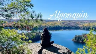 Fall trip to Algonquin Provincial Park 🍁
