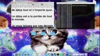 Test du booter Buz1n sur un site !