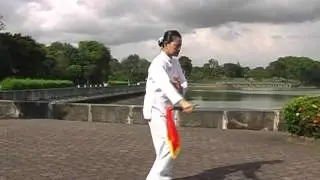 Traditional Yang Style Taiji  Broadsword 13 Forms