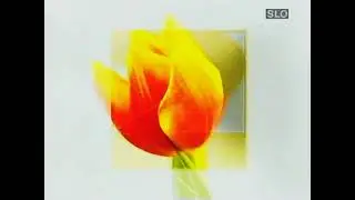 TV SLO2 - Ident (1997)