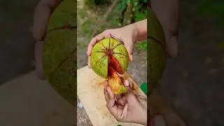 Guava Mixed with Chili Salt is Delicious #fruit #food #fruitcutting