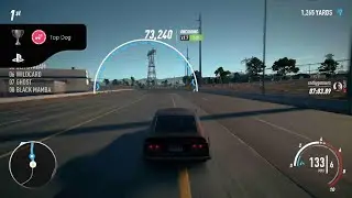 Need for Speed Payback - Top Dog Trophy 🏆 (Silver)