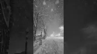Snowfall❄️ in Chuvash State Uni. #snow #russia #chuvas #mbbsabroad #snowfall #trending #nature #mbbs