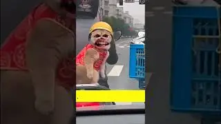 Fish Vs Cat 😂Part 28 Funny Dubbing Funny Bagad Billa #shortvideo #cat #1 #animals #cartoon #shorts