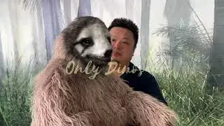 Lifelike Sloth Puppet | How to