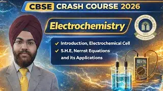 Electrochemistry | Part 1: Electrochemical Cell, SHE & Nernst Equation | Class 12 Chemistry