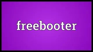 Freebooter Meaning