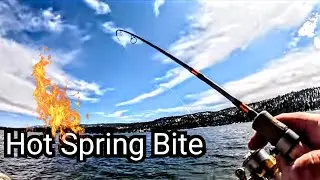 Hot Spring Bite Takes Off!! Big Bear Lake Trout Fishing
