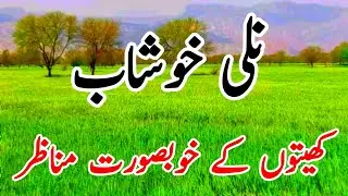 Nalli Village | District Khushab Pakistan | Most Beautifull Village | By Nomi Khan Vlogs