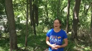 WWOOF Family Farm in Arena, WI