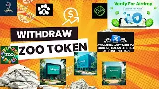 How to withdraw zoo token | Paws One last task | seed wallet connect update 💸