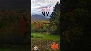 Beautiful Autumn Foliage in Catskills, New York | Fall Season Travel Vlog | Kohkaaf