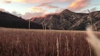 The Solarists - You to Stay (Official Audio)