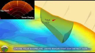 Using Sonar Detected Fish Tags for Identifying Lake Trout Spawning Sites in Lakes.