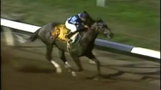 Santa Anita Honors Bill Shoemaker