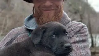 My Mastador Puppy