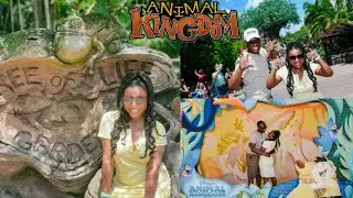 Animal Kingdom | Coronado Springs Tour | Tonga Toast | Disney Travel Tips Vlog Series Part 4