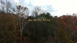 Mason Mill Park, Fall 2025
