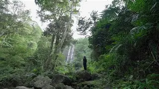 Misty Mountain Experience : Kuttikkanam, Peerumade | A Journey Through Every Experience