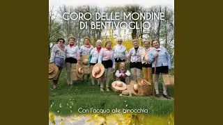 Se non ci conoscete