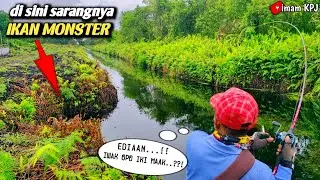 EDIAAN...!! LAGI&sup2; JORAN KU DI HAJAR IKAN MONSTER || casting ikan gabus || shimano slx dc @imam-KPJ