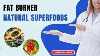 Benefits Of Sumatra Slim Belly Tonic | Fat Burner Supplements