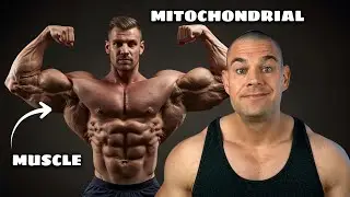 The Bodybuilding Game Changer: Why Supporting Your Mitochondria Is Evyerthing...
