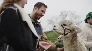 K2 Alpacas Promotional Video