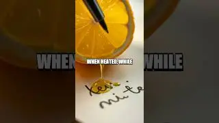 Shadows and Sparks A Fresh At Home Science Quest