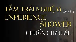 Tắm Trải Nghiệm Là Gì? Hướng Dẫn Thi Công Experience Shower Chuẩn Châu Âu Cho Spa & Resort