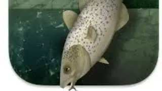 Stockfish 12 ON ANDROID DROIDFISH UPDATE