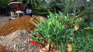 UPDATE Step5!! Skills Dozer Pushing Soil Delete Pond Garbage Completed Day with dump truck Fail in