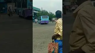 Chennai Bus Stand 💥 #bus #privatebus #tamilnadu #busfansoffical #busfan #busfansindia #tnstc #ksrtc