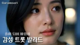 [7080 Garamsori] 트롯 발라드 | 홀씨 되어 날아가 버린 나의 그리움 | 홀씨 되어 바람에