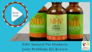 Natural Joint Supplements for Senior Pets and Cats | Herbal Remedies for Senior Cats