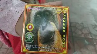 Sank Cannon Bomb Firework &mdash; Mega Blast Review & Close Up!