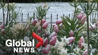 Europe hit with snow, lower temperatures in unusual cold blast
