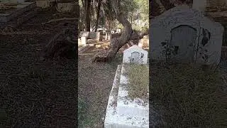 Graveyard is Waiting For You #islamic #islam #death #shorts #viral #grave #qabar #graveyard #naat