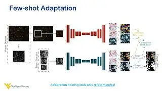 CellTranspose: Few-shot Domain Adaptation for Cellular Instance Segmentation