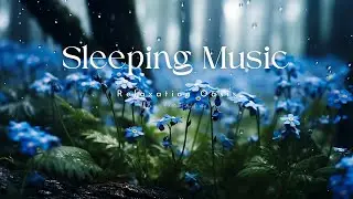 Relaxation Oasis - Relaxing Music for Sleep and Insomnia: Beautiful Relaxing Piano Music | EP3
