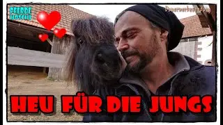 Neue Heuraufe für die Jungs WG | Pferde Hoschi