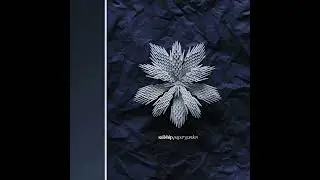 Sailship - Rings