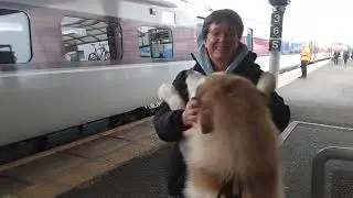 Ramba zamba at the train station
