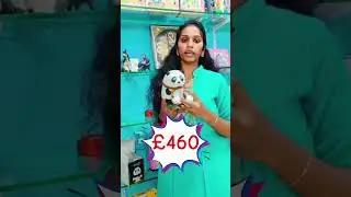 panda night lamp 🐼 #baby #nagercoilvlogs #cute #funny #homedecor #love #cutebaby #nagercoilvlogs