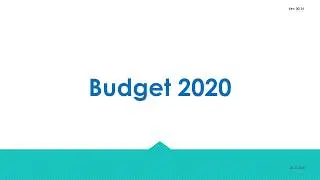 BUDGET 2020 IMPACT  -  SALARY INCOME