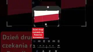 Dzień drugi czekania na Femelixa komentarz