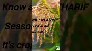 Kharif season: where rains meet roots 🌧️🌱 #agricultureindia #farminglife #kharifcrops #agristudents